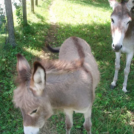 Le Routoir Holiday home *